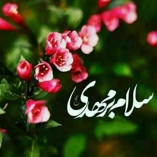 سلام امام زمانم❤️