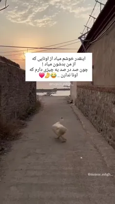 @filmgoon