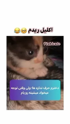 موخاااااااام😭😭😭😭😭😭😭😭💜🤍❤️