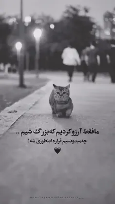 فقط همین 🖤