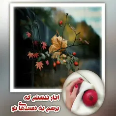 پاییز از راه رسید 