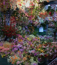 امدم گل فروشی گل بخرم