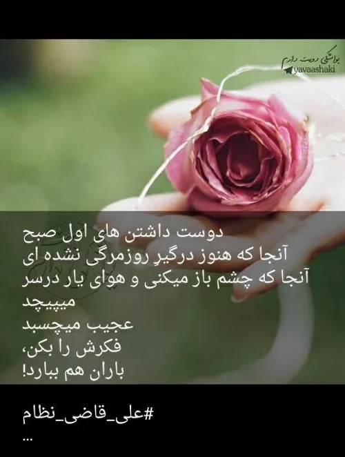 عکس نوشته hoddamohamadizade 23873669 - عکس ویسگون