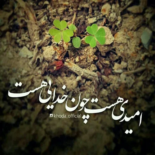 مگر می شود‼️