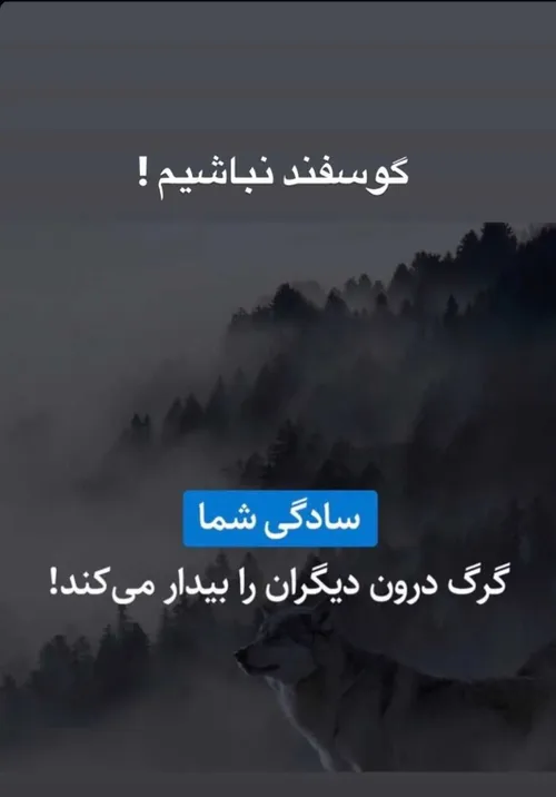 ساده نباشیم..