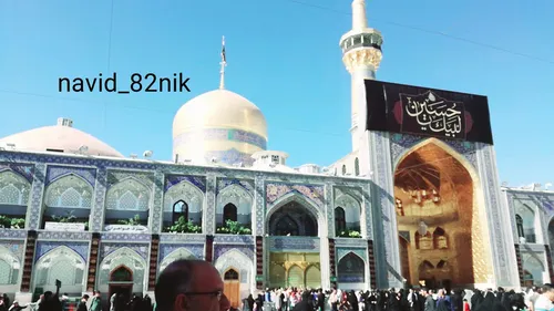 😍 😍 اصلا باور نمیکنم امام رضا (ع) منو بعد هفت سال طلبیده 