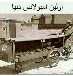 زنده میمونده عایا