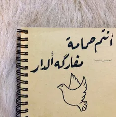 #انتم حمامه و مفارگه الدار
