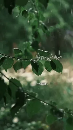 امام علی علیه السلام:زمانی خواهدآمد که بازبان تظاهر دوستی