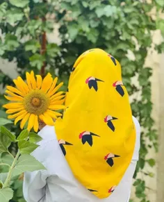 ⊹ #کالکشن_قشنگیات #کالکشن_قشنگیات⊹🍰⊹🍫 ⊹🌻💛