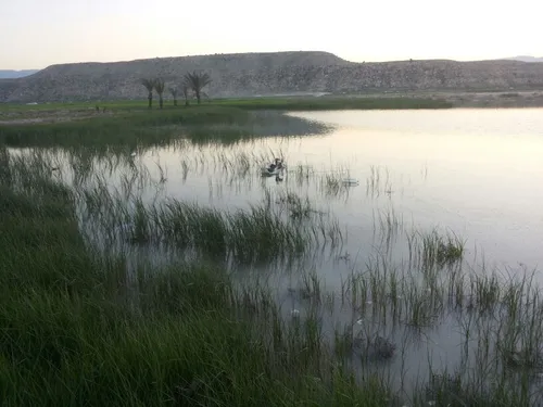 تالاب فصلی روستای میرملکی شهرستان مهر استان فارس