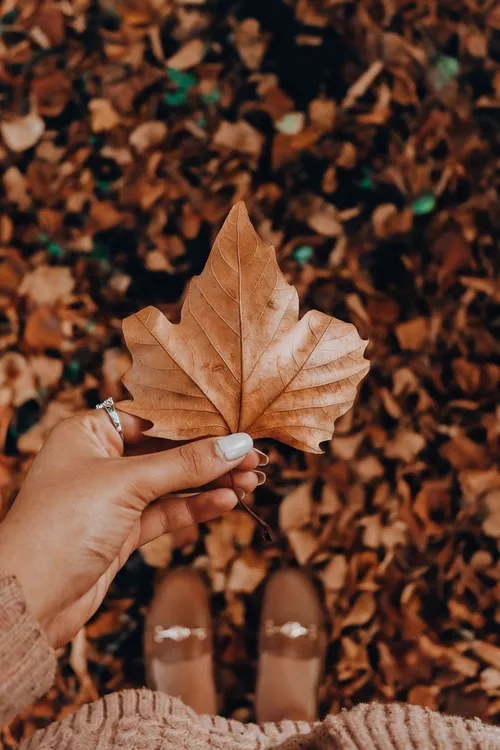 عشق پنهانی ترین راز پاییز است🍁