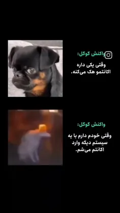 مجبور شدم اکانت 500فالووره رو تو انیستا پاک کنم چرا چون ی