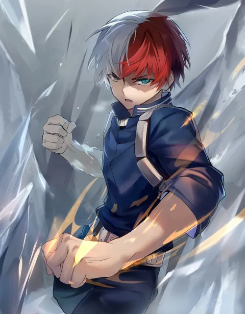 💙❤SHOTOTODOROKI💙❤