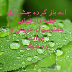 اے باز کرده چشم دل خفته را  ز خواب