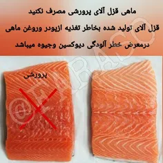 #ماهی_قزل_آلای پرورشی مصرف نکنید !
