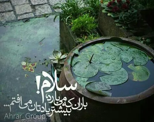 روزهای بی تو،