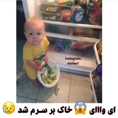 توله ممنی یباشکی شالاد خولدی هوم ای توله بلا😒 😍 😋 😻