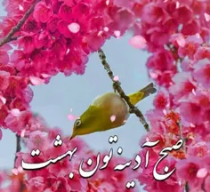 سلام 🍃🌷