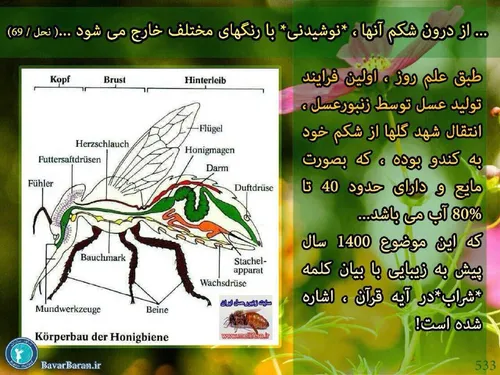 وچه زیبا قرآن در 1400 سال پیش به این حقیقت علمی اذعان کرد