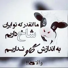 بدون شرح