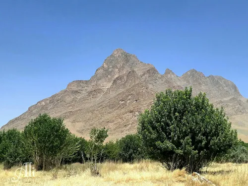 بیا این اب پرتقال رو بخور!