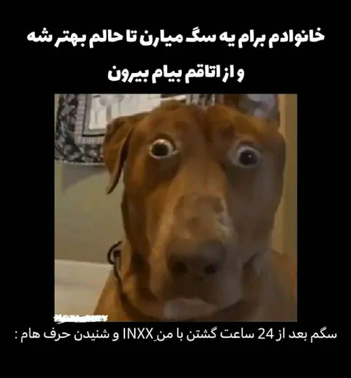 دقییقااااا🤣🤣