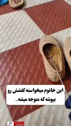با توجه به فصل گرما و پناه بردن #مار و #عقرب به محیط سرد 