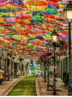 خیابان آگوئدا در #پرتغال، یکی از زیباترین نقاط توریستی جه