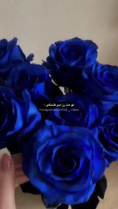 کسی نزدیکش شه جز منو زنداداشم میزنمش گردنشم مال خودمه مال