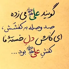 هر کس به کسی نازد، ما هم به علی مینازیم.