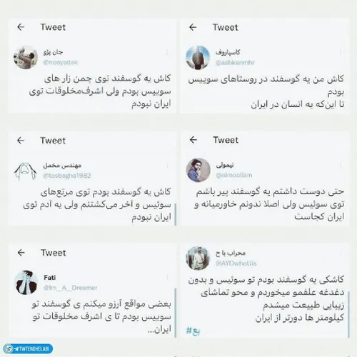 ⭕️قابل توجه همه دوستانی که برای عیدقربان در نظر دارند گوس