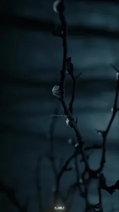 از یاد خداوند رویگردان و غافل نشوید