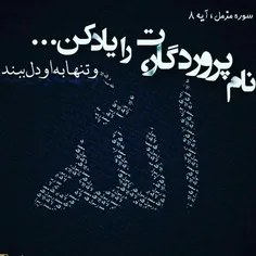 خدایا شکرت