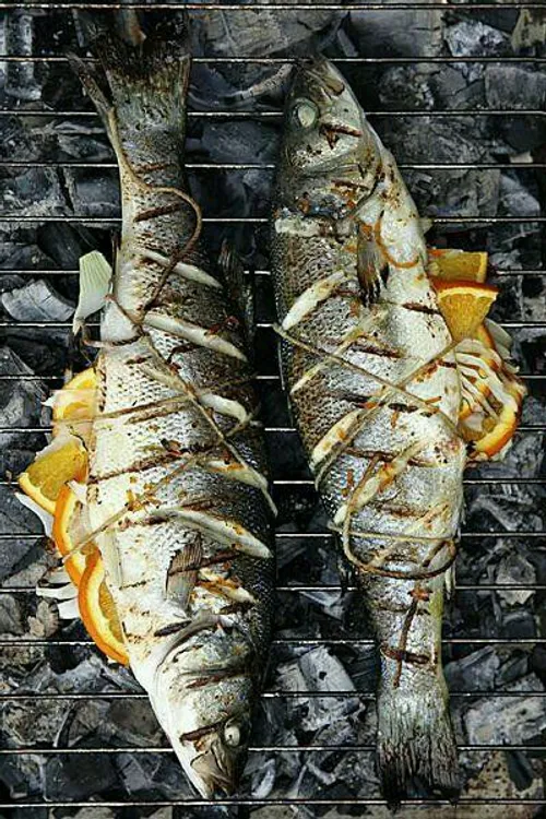 بهتر است ماهی روی آتش کباب و به صورت تازه مصرف شود. ماهی 