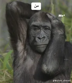 به دل نگیرید 🤧😂