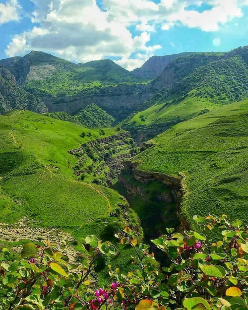 شما نمی توانید انسانی را