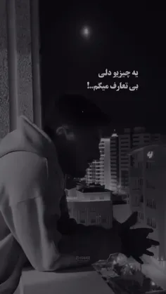 بردار.