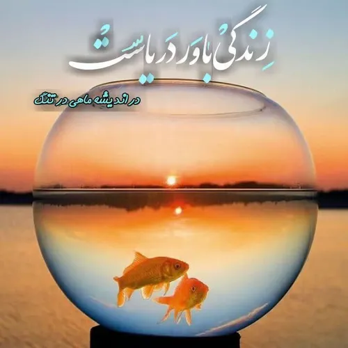 زندگی باور دریاست...🌊🐠 زندگی