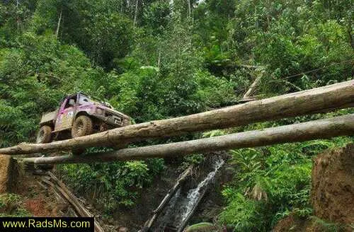 راننده ش خودمم....باز بگین دس فرمون خانوما بده.......