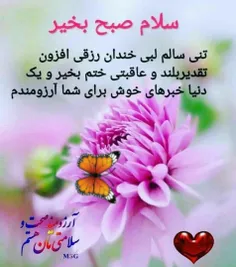 💙بسم الله الرحمن الرحیم💙