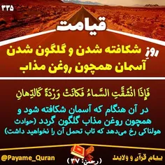 #قران #قرآن #قرآن_کریم #قران_کریم #القرآن #القران_الکریم 