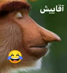 سراقاییش با کسی شوخی نداره 😂😂😂😂