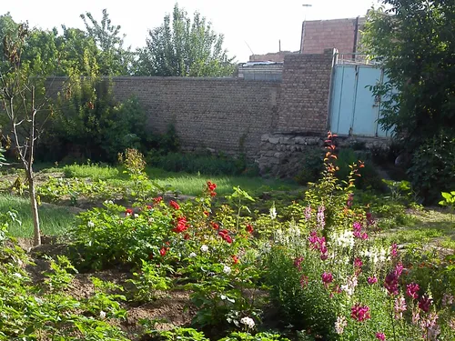 گوشه ای از باغ بابام