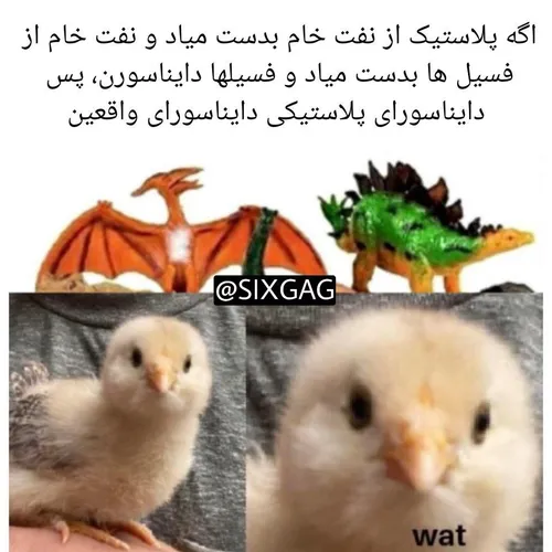 منتگیه🗿👌