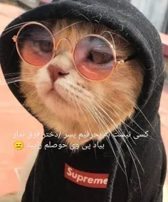 زنده این ؟! به کتفتون نگیریدد😑