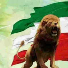 پاینده بادایران