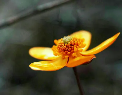 برای همه دوستای خوبم.تقدیم