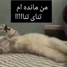 هیچ کی نیست به این خدا زده سلام علیک کنه 🤪🤔😑