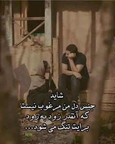 شاید